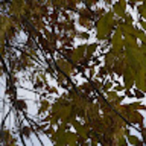 Meet your Posher, Hunter